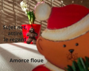 Maitriser le flou pour réussir ses photos de Noël.